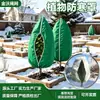 Coberturas de proteção de inverno para plantas, isolamento para árvores frutíferas, isolamento de inverno para plantas verdes, tecido não tecido transfronteiriço com zíper e cordão, coberturas de proteção contra geada para árvores