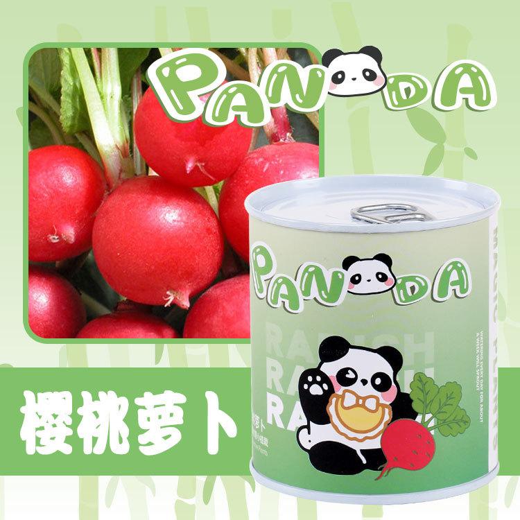 樱桃萝卜