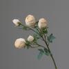 5 cabezas de rosa con borde quemado, flor artificial retro de seda, decoración de flores falsas, flores secas de imitación, ropa suave para el hogar, marchitar, secar, boda