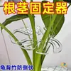 Monstera Poste de Soporte Fijo Marco Recogedor de Tallo de Rama Planta Soporte Antivuelco Planta Verde Soporte para Flores