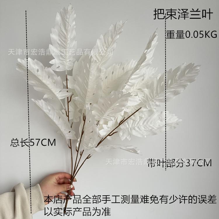 尺寸图