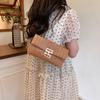 2026 Nova Bolsa de Palha Tecida Transfronteiriça Bolsa Clutch Amazon Moda Europeia e Americana Bolsa com Franjas Bolsa Envelope de Palha