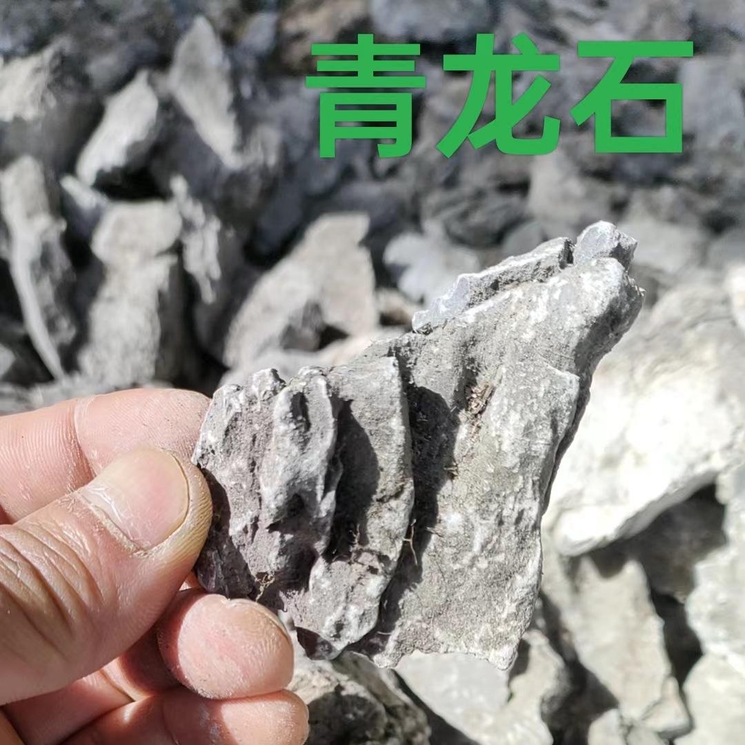 微信图片_20240414101730.jpg