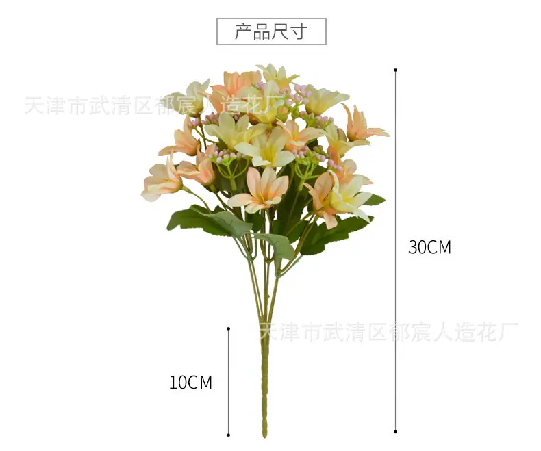 详情_01.jpg