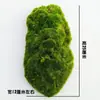 Mobiliario suave paisaje de plantas verdes paisajismo bloques de musgo césped flockado de musgo escaparate decoración artística DIY césped verde