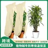 Bestseller transfronteiriço: Capa espessa de proteção contra geada para plantas, capa anti-congelamento de não tecido com cordão, capa de proteção de inverno para árvores frutíferas