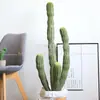 Cactus Grande cactus artificial planta de arena paisaje paisaje paisaje planta tropical cactus en maceta columna de cactus