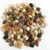 2.5 kg Guijarros, Piedras Flor de Lluvia, Piedras en Bruto, Piedras Pequeñas Naturales, Decoración para Acuario Maceta, Colorido Ganso Trigo Suave Taibao