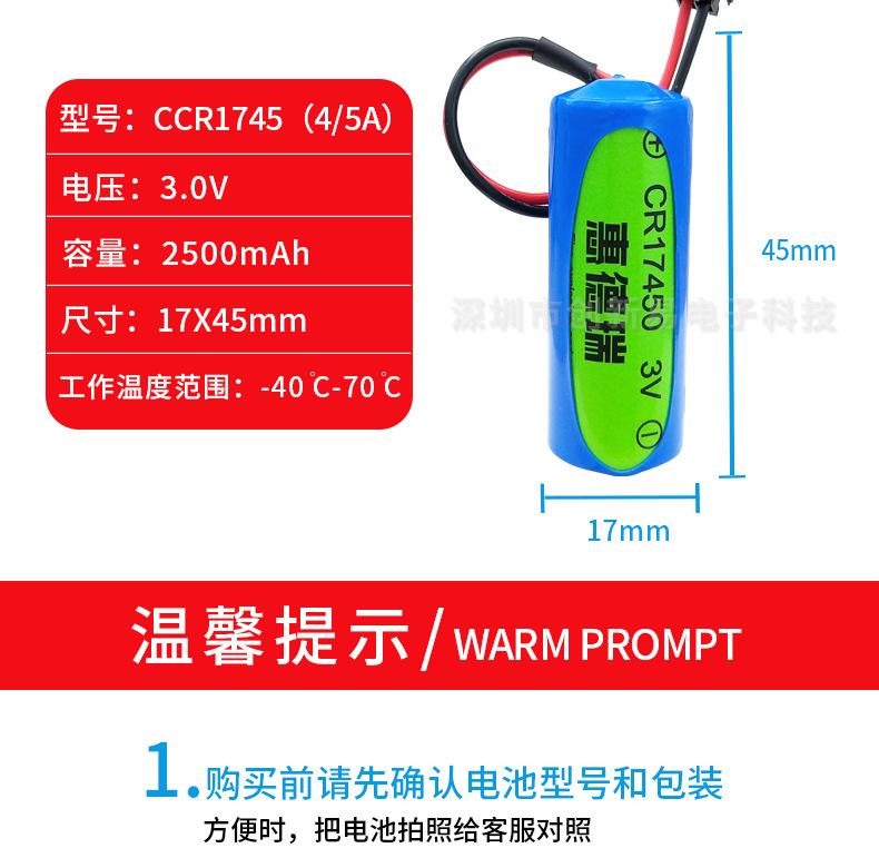 CR17450_06.jpg