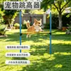 Nuevo dispositivo de salto para mascotas respetuoso con el medio ambiente suministros para entrenamiento canino equipo de agilidad equipo para entrenamiento de mascotas al aire libre