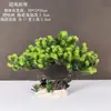 Decoração de Enfeite de Mesa Pinheiro Bem-vindo Pequeno Pinheiro Plantas Verdes Plantas Aquáticas Mini Rochedo Aquário Paisagismo Hotel