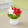 Produto Acabado Criativo: Planta em Vaso de Fio Trançado Não-Me-Esqueças Feita à Mão, Decoração de Mesa, Presente para Colegas e Professores Durante a Temporada de Formatura