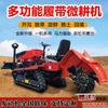 Tractor de doble propósito para riego y sequía, para huertos de montaña, invernaderos, multifuncional, de alta potencia, con cultivador rotativo sobre orugas, directo de fábrica