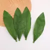 Folhas Plásticas Verdes Simuladas Feitas à Mão DIY Perfume Folhas de Lírio-do-Vale Folhas de Tulipa Acessórios Decorativos