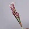 Hierba de Botella Simulada, Hierba de Jaula de Cerdo, Flores y Plantas Verdes Simuladas, Flores de Paisajismo de Alta Gama, Diseño del Hogar, Decoración Suave, Materiales de Hojas, Flores Artificiales