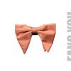 Fang Youliang Silk Bow Homens da moda sólida cor Bow Tie Photo Studio Photo Wedding Host Stage Acessórios