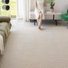 Alfombra Estilo Seda de Diatomeas Sala de Estar Nueva Impermeable Sin Lavar Limpiable Gama Alta Cobertura Total Área Grande Tapete Piso Venta al por Mayor