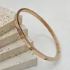 Pulsera de Acero de Titanio con Diseño de Nicho para Mujer, Diamante Cuadrado, Textura de Lujo Ligero, No se Desvanece, Fabricante Mayorista de Joyería de Moda Europea y Americana