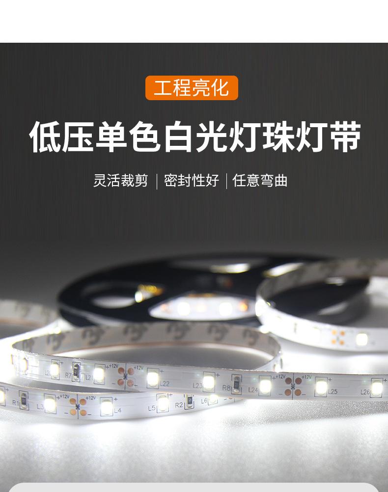 白光12V_03.jpg