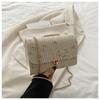 Bolso de Paja 2025 Nuevo Bolso Popular de Cadena de Moda Trendy Primavera y Verano Nuevo Bolso Cuadrado Pequeño Bolso Cruzado Bordado Elegante