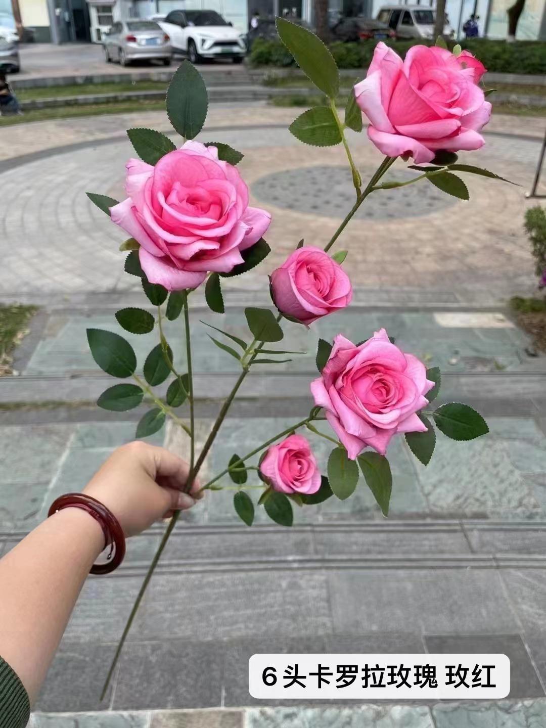 微信图片_20230515152725