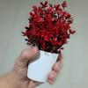 Plantas verdes de simulación superventas transfronterizas, flores creativas en maceta multicolor, muebles para el hogar, decoración de flores de simulación, mini bonsái de generación