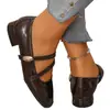 Zapatos Mary Jane Cuadrados de Estilo Retro para Mujer, Nuevo Modelo 2026, Correa Doble Hebilla, Tacón Grueso, Suela Suave, Zapatos Casuales de Cuero