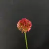 Crisântemo de Simulação Ping Pong Crisântemo Casamento Decoração de Casa Flores Artificiais Atacado Decoração de Casamento Materiais Florais Bolas de Cebola