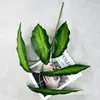 Nuevas Plantas Verdes de Simulación Planta de Hojas de Begonia de 5 Puntas Fondo de Pared de Plantas Diseño Floral DIY Decoración del Hogar Hojas Verdes de Simulación