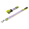 Conjunto de duas peças em estoque de fábrica de coleira e guia para cães em blocos de cor, nylon resistente ao desgaste com fivela de metal, conjunto para passeios de cães atacado