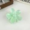 Nuevos pasadores de pelo de color cambiante transfronterizos europeos y americanos para mujer, pinzas de tiburón de moda de alta gama, pinzas para el pelo de plumeria