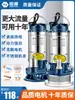 Bomba Sumergible de Acero Inoxidable Chenyuan para Uso Doméstico, Bomba Pequeña para Aguas Residuales para Riego Agrícola, Bomba de Alto Levantamiento de 220V con Gran Caudal