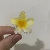 Vietnam Explosiones 4cm Flor de Huevo Pasador Flor de Bauhinia Pinza para Cabello Tiburón Alto Accesorios para el Cabello Venta al por Mayor
