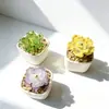 Maceta de Flor de Peonía de Vidrio Zibo Planta Flor de Vidrio Artificial Regalo del Día de la Madre Decoración de Escritorio Coche Artesanía