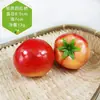 Espuma Frutas e Vegetais Artificiais Modelo Banana Artificial Maçã Laranja Enfeites Adereços Decorativos para Fotos