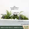 Musgo Artificial Verde para Paisagismo, Micro-Paisagens de Jardim, Materiais Decorativos, Musgo Sintético, Enfeites de Grama Artificial