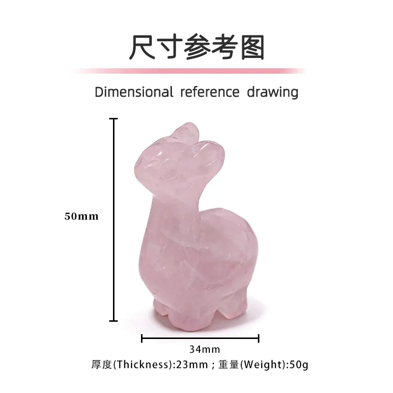 尺寸.jpg