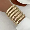 Moda Transfronteriza Europea y Americana Metal Texturizado Brillante Liso Anillo Pulsera Pulsera Diseño Pulsera de Resorte Facetada