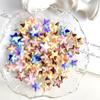 Dopamina estilo coreano macarrón estrella de mar luminosa joyería para uñas resina hecha a mano pasador creativo pendientes pequeños accesorios