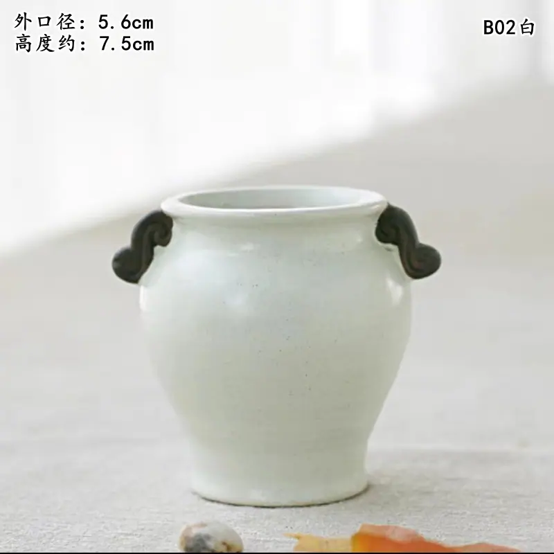 B02白