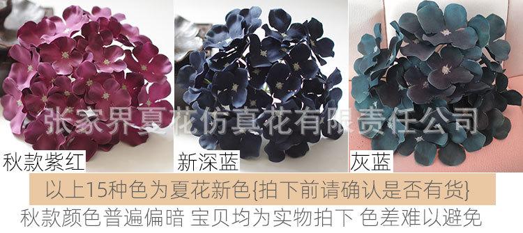 绣球_03.jpg