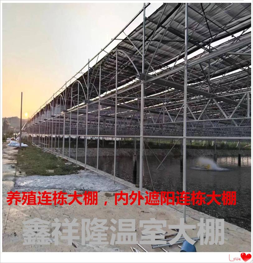 微信图片_养殖鲈鱼20230726190330_副本