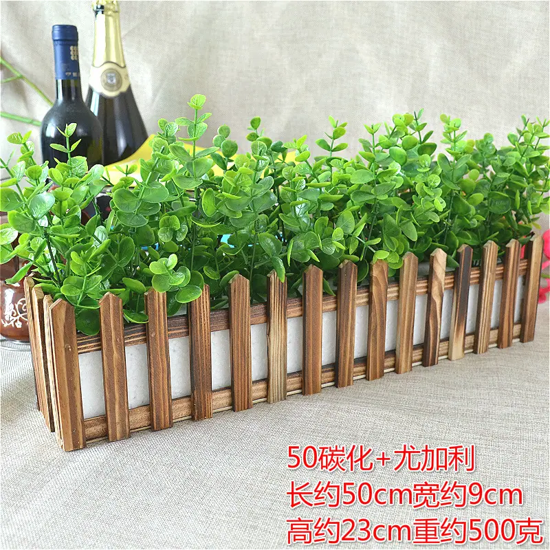 50碳化尤加利_9