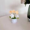 Regalo Día del Maestro Planta en Maceta de Nomeolvides Terminada Adornos Decoración Oficina Hogar Simulación Flor de Lana Tejida Planta en Maceta