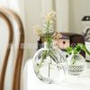 Florero de Vid Transparente Pequeño Boca Estrecha Arreglo Floral Flores Secas Aromaterapia Escritorio Sala de Estar Decoración Hogar Nórdico Florero de Vid