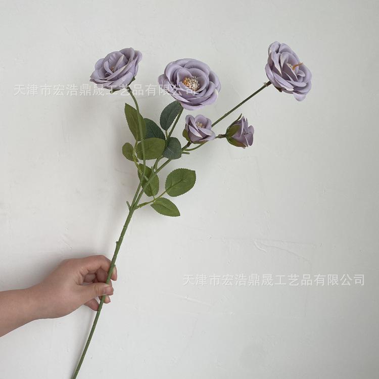 微信图片_202204111604495_副本