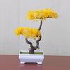 Planta de Simulación Bonsái Pino de Bienvenida Árboles Pequeños Maceta Interior Plantación Verde Flores Falsas de Escritorio Adornos Decoraciones para el Hogar