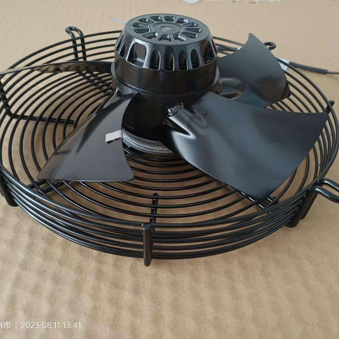 2024-11-06 11:18:29.jpg