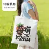 Bolsa de lona bolsa de tecido publicitária expressa padrão bolsa de mão bolsa de compras logo promocional outro pode ser personalizado