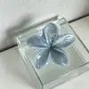 Pinza Grande de Garra Difusa de Plumeria de Alta Gama para Recogido en la Parte Trasera de la Cabeza Pinza Tiburón Peinado Semi-Recogido Accesorio de Cabello de Moda